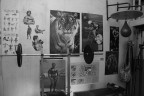 Palestra