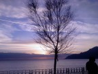 Foto scattata con un cellulare....forse basta solo l'idea per fare belle foto