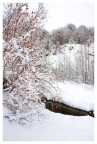 Ancora neve