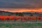Ho cercato di essere pi attento ai colori. L'immagine  un HDR.