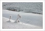 gelata notturna (3)