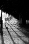 Milano - Bastioni di porta Venezia