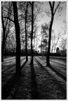 Arese, parco pubblico