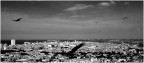 Yankee su l' Habana