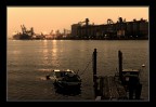 Approdi diversi....