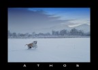 Fotografato dopo una nevicata