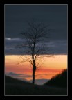 a new day has born
