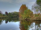 Riflessi