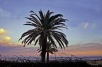 Panasonic fx01
iso100 1/500 f/3.0
