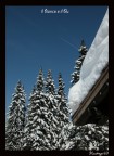 ...il bianco e il blu...