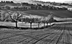 HDR in B&W Prova 2