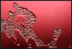 splash