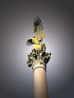 Aquila