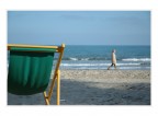sapore di mare