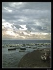 Il gabbiano