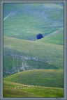 Pastorale