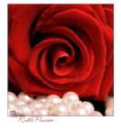 Red&amp;Passion