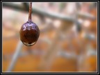 Unusual object