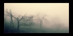 Nebbia...