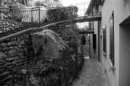 BRISIGHELLA - controvia degli asini