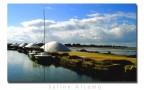 Saline