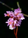 Fuji finepix s5600
ISO 64
1/240 sec
F/3,2
mano libera