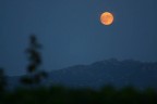 a luna rossa ...