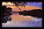 Till the lake