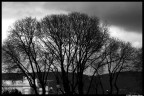 Prima prova invio immagine, test