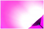 Purple vs Fucsia