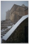 Neve