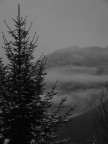 Neve