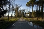 Il risveglio dopo la tempesta