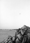 VOLARE VIA...