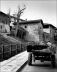 In campagna non  mai Domenica