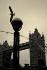 Londra