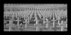 Cimitero militare USA