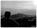 osservando