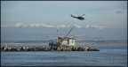 Pesca al volo