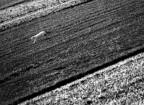 Fuga in diagonale
