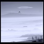 Volo nella nebbia