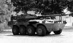 carrarmato