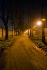 Viale di notte