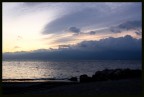 Mare