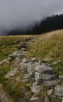 Ritratto di un sentiero alpino fiancheggiato da un vecchio muretto fatiscente con nebbia e abeti sullo sfondo