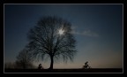 motori sui sentieri