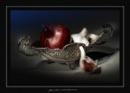 Garlics and Onions