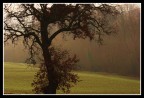 Autunno