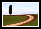 Curva