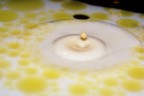 una goccia di latte e olio
